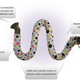 Image for article titled This Cuddly Python Redirects AC to the Back of Your Car